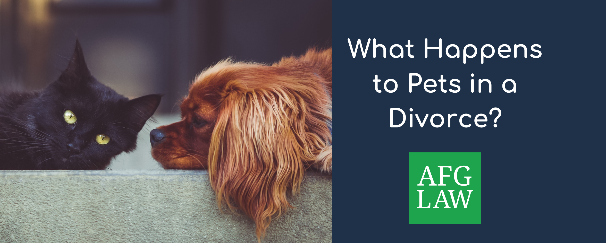 Pets in a Divorce